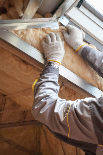 Best Cellulose Insulation in Belmont Estates, VA