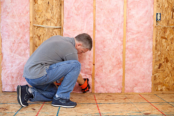 Best Commercial Insulation in Belmont Estates, VA
