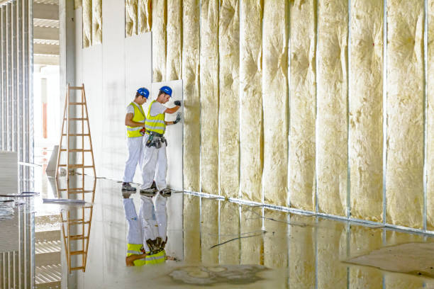Best Blown-in Insulation in Belmont Estates, VA